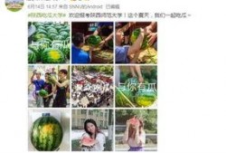 今日吃瓜学生校园什么网站,学生热议焦点一网打尽